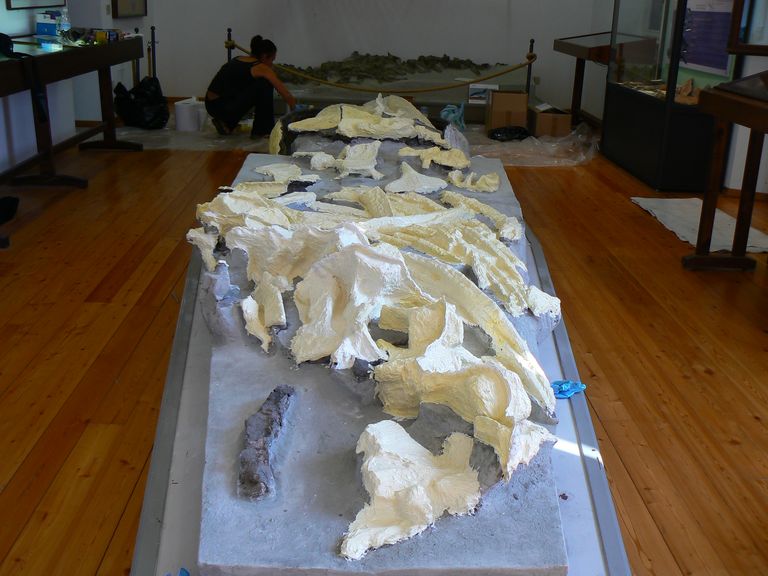 Festa scuola Ale 033